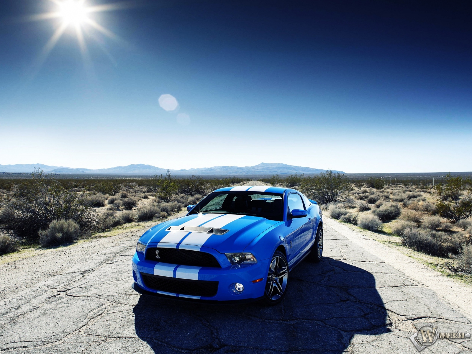 Ford Mustang Shelby 1600x1200