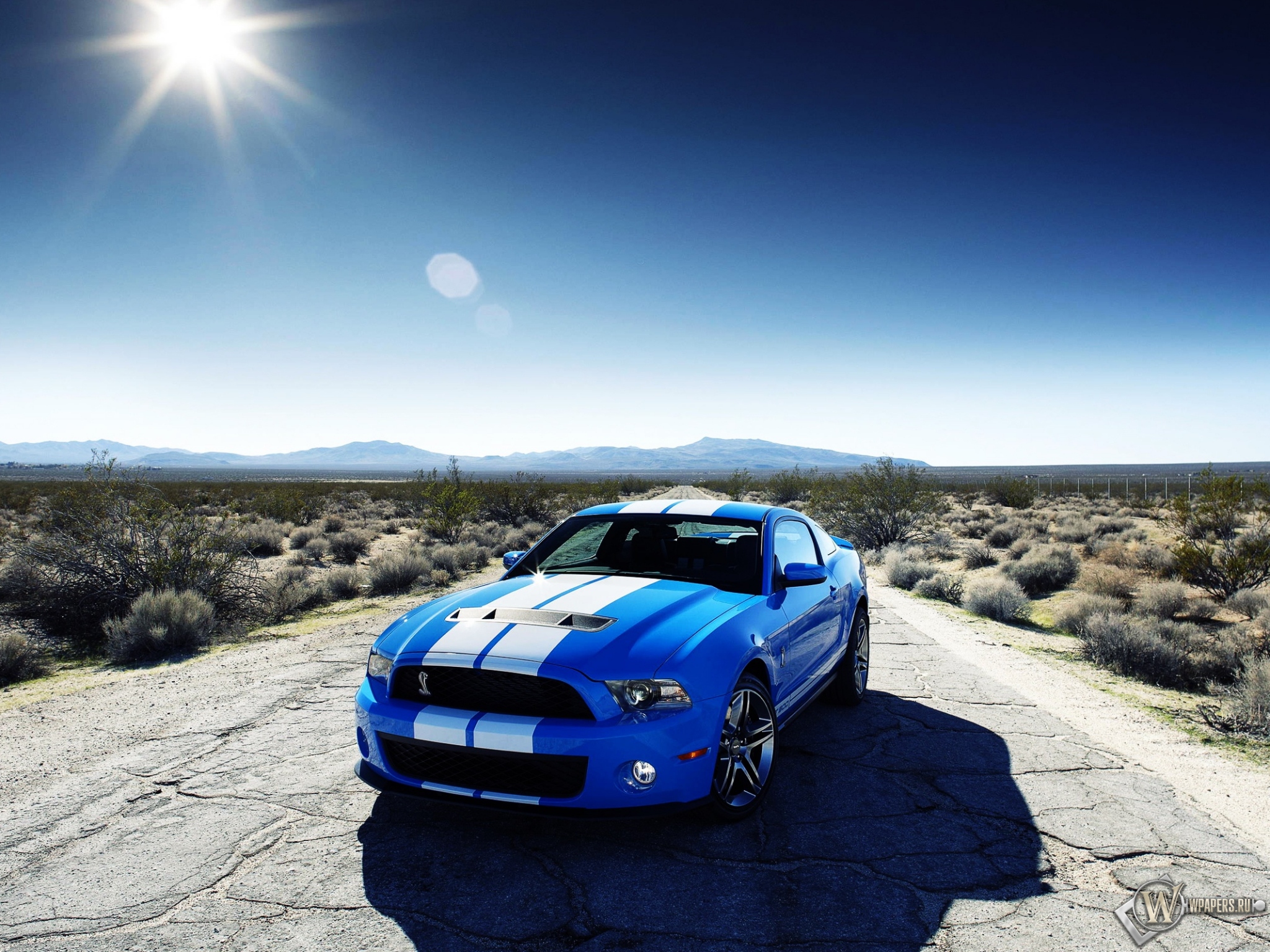 Ford Mustang Shelby 2048x1536