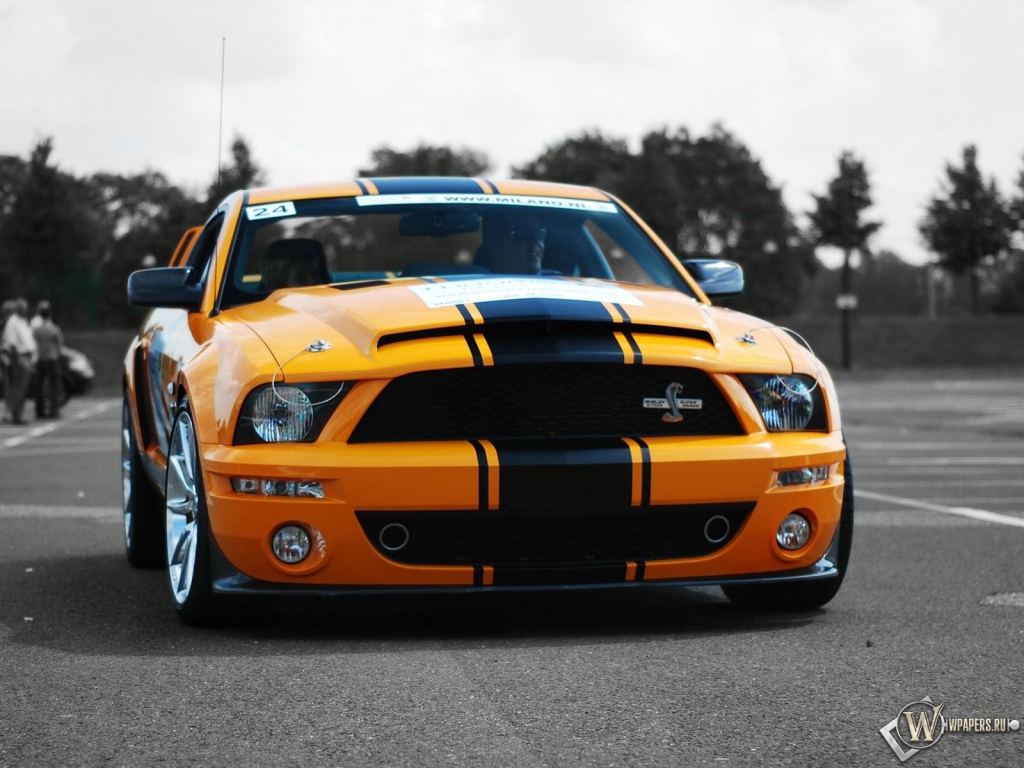 Ford Mustang Shelby GT500 Super Snake 1024x768