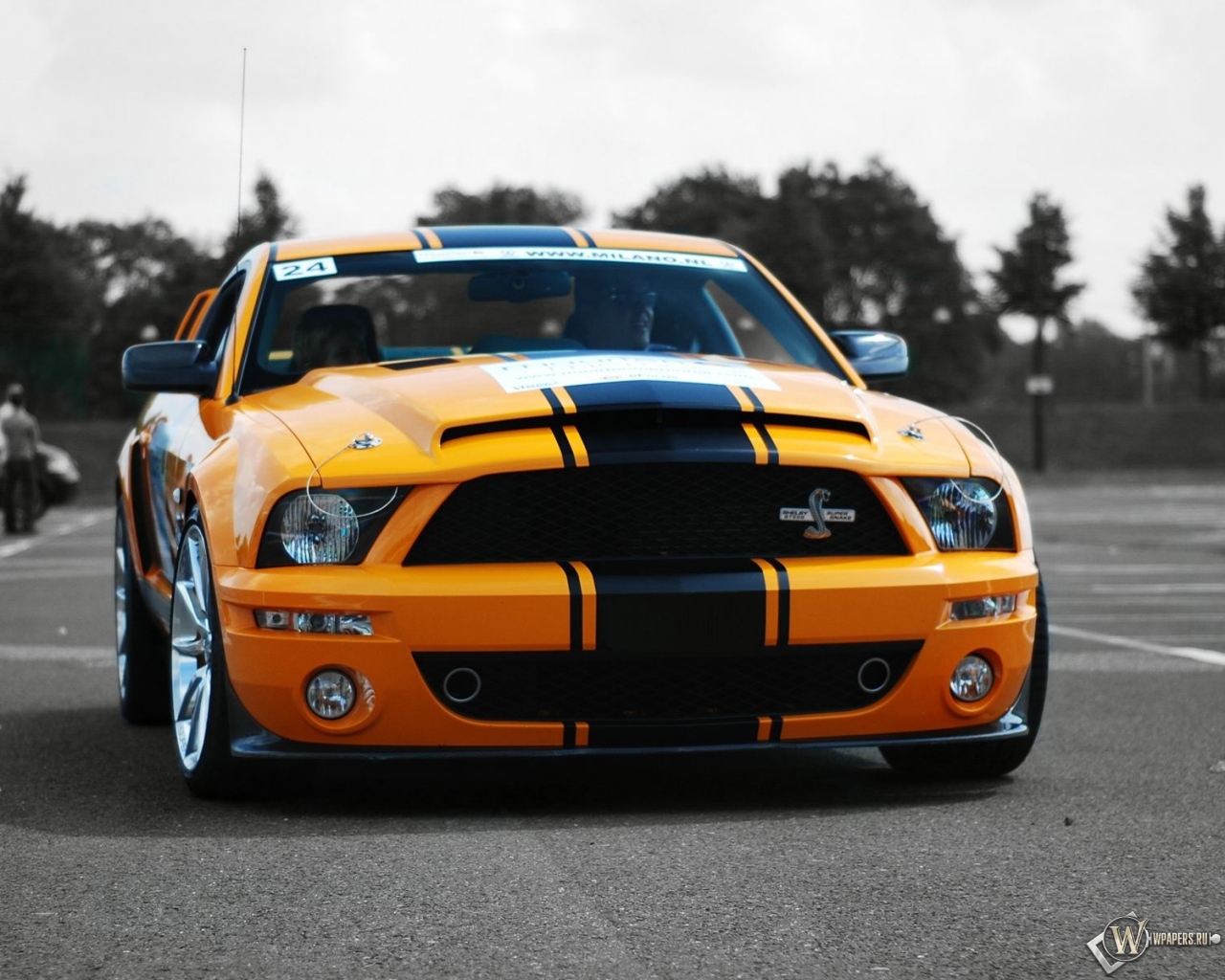 Ford Mustang Shelby GT500 Super Snake 1280x1024