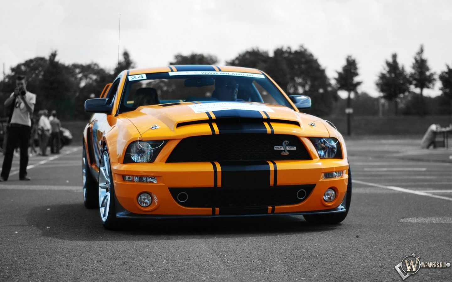 Ford Mustang Shelby GT500 Super Snake 1440x900