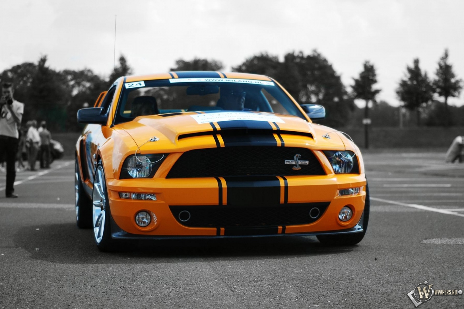 Ford Mustang Shelby GT500 Super Snake 1500x1000