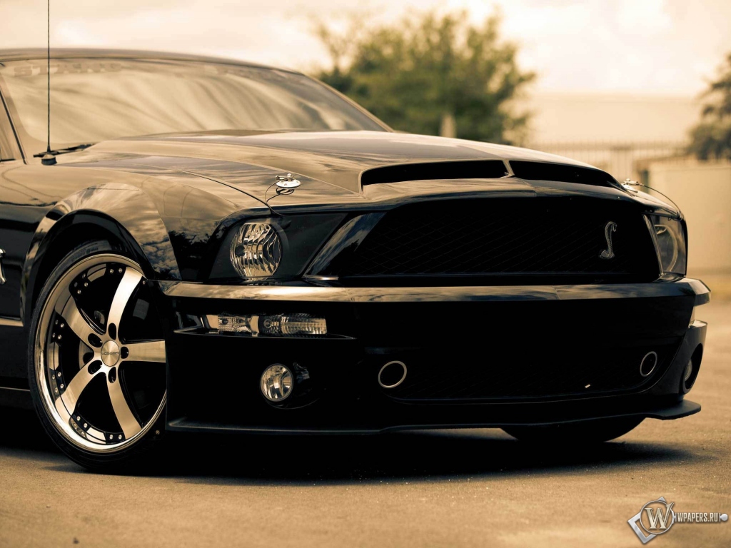 Ford shelby gt500 1024x768
