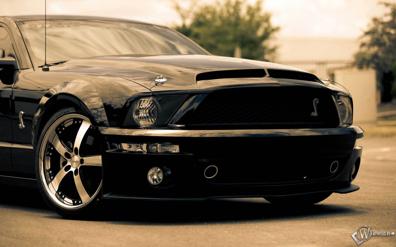 Ford shelby gt500 1280x800