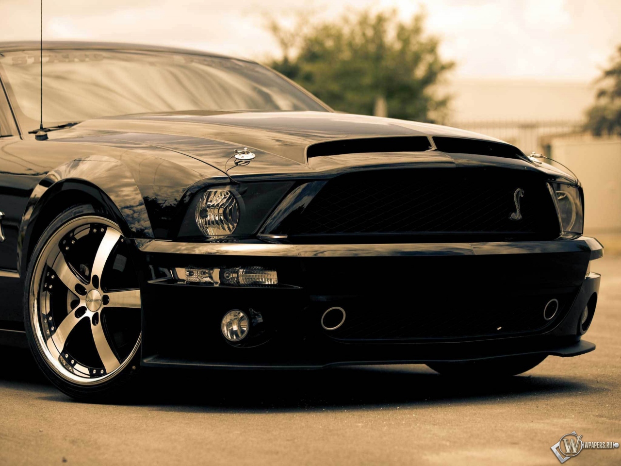 Ford shelby gt500 1280x960