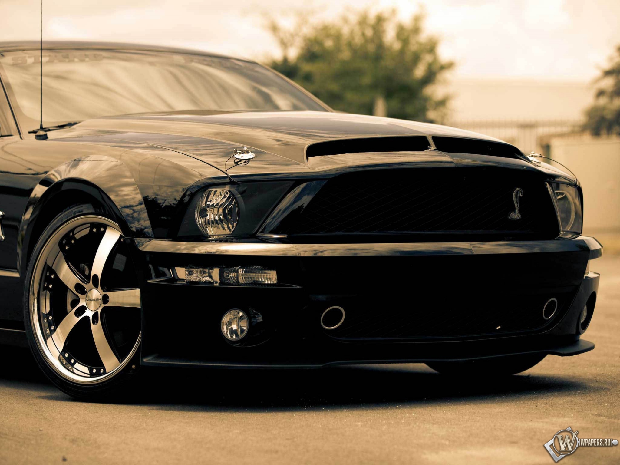 Ford shelby gt500 2048x1536