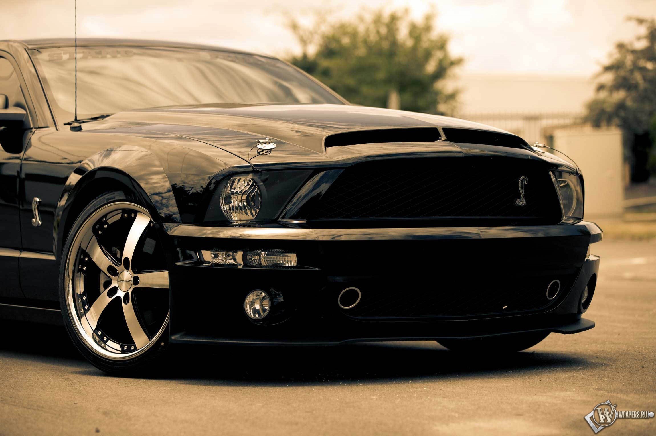 Ford shelby gt500 2300x1530