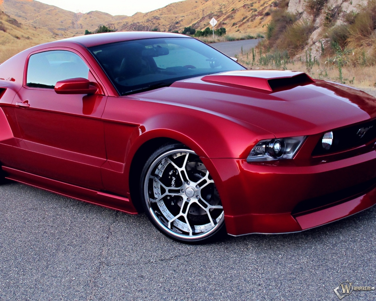Ford Mustang gt500 1280x1024