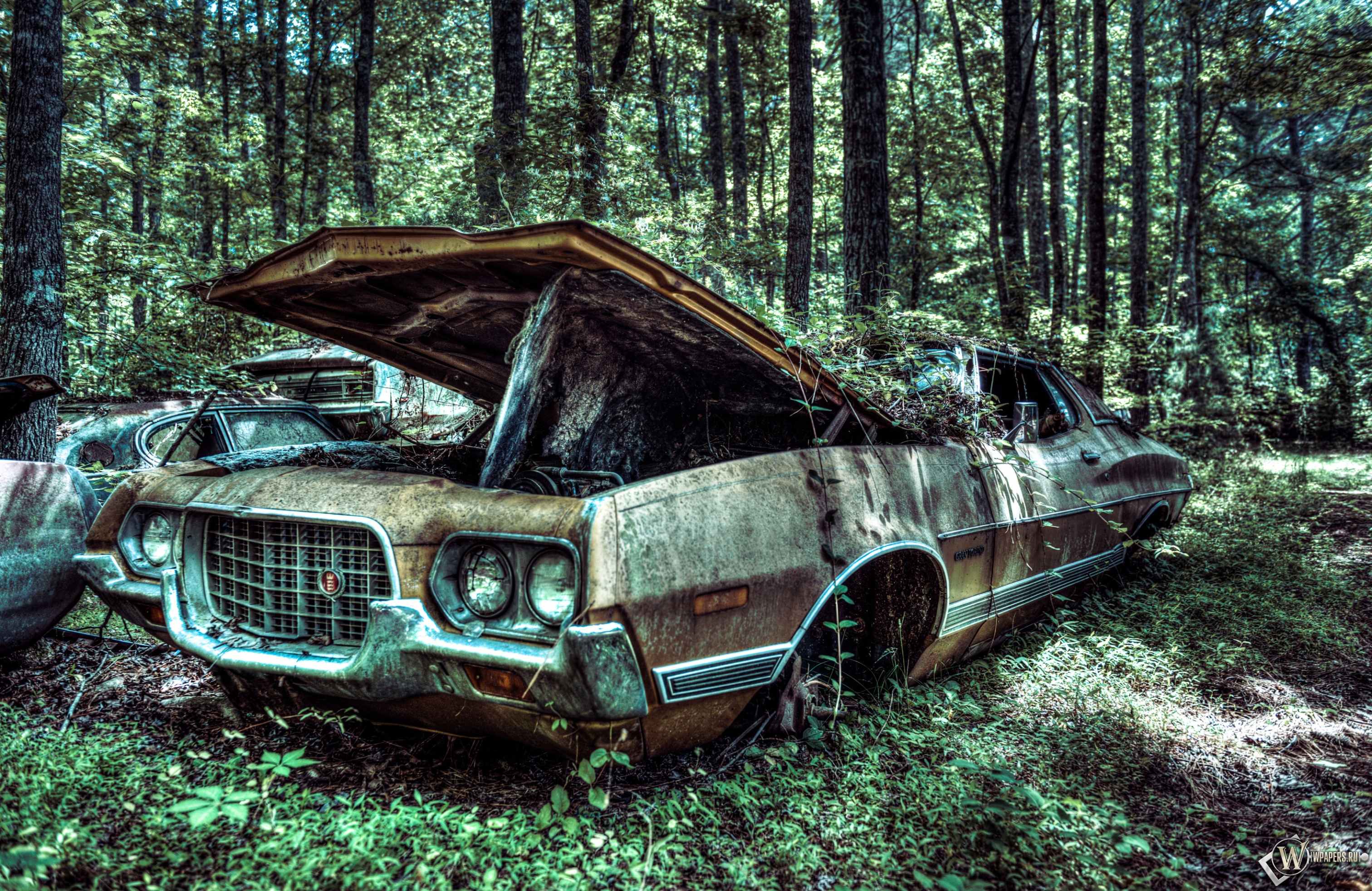 Ford Gran Torino Speed 1972 3024x1964