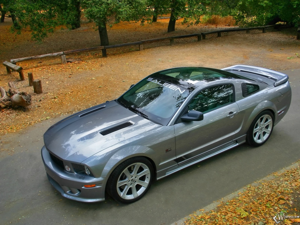 Ford Mustang Saleen 1024x768