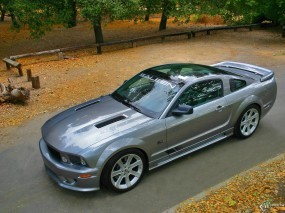 Обои Ford Mustang Saleen: Ford Mustang Saleen, Ford