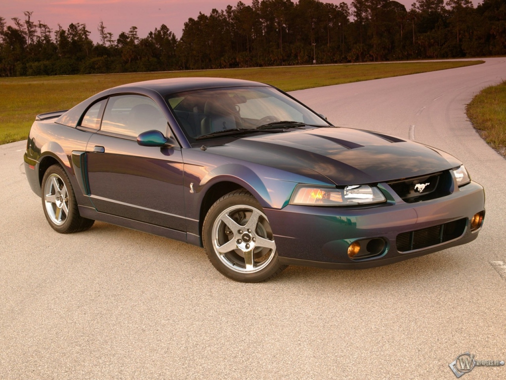 Ford Mustang Cobra R 1999 1024x768