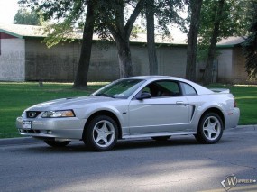 Обои Ford Mustang 1999: Ford Mustang, Ford