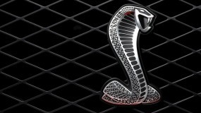 Обои Mustang Shelby Logo: Ford, Logo, Ford Mustang Shelby, Ford