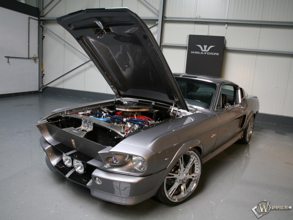 Mustang Shelby GT500 1024x768