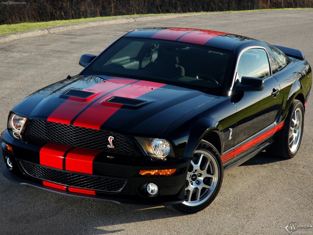 Ford Mustang Shelby 1024x768