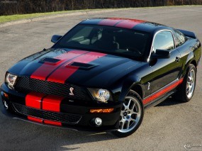 Обои Ford Mustang Shelby: Ford Mustang Shelby, Ford