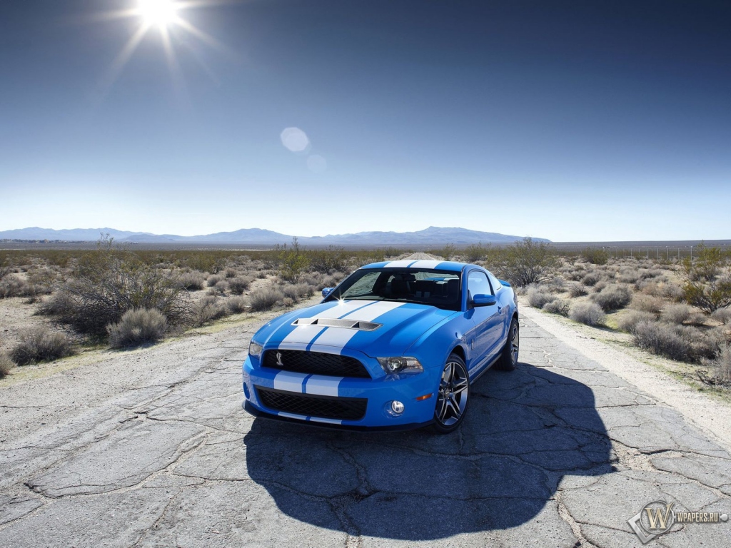 2010 Ford Shelby GT500 1024x768