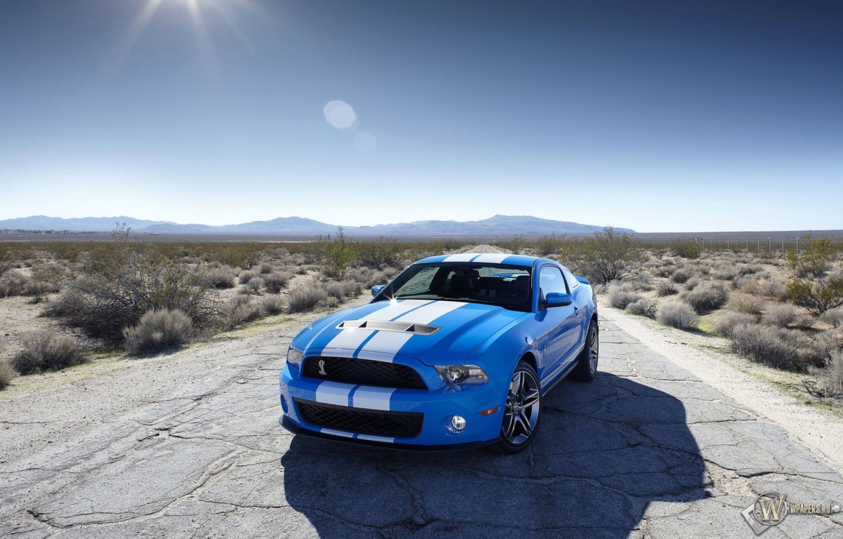 2010 Ford Shelby GT500 1200x768
