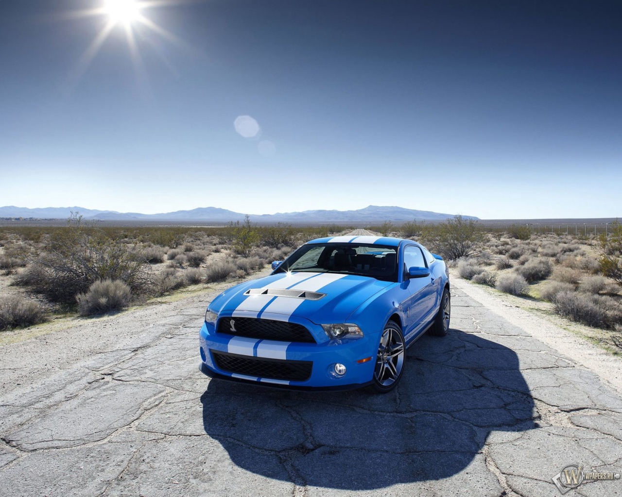 2010 Ford Shelby GT500 1280x1024