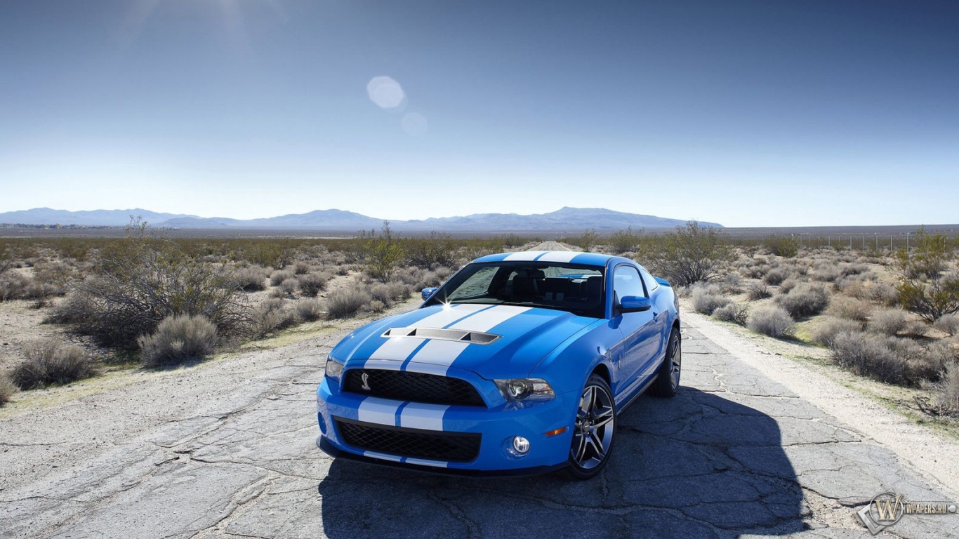 2010 Ford Shelby GT500 1366x768