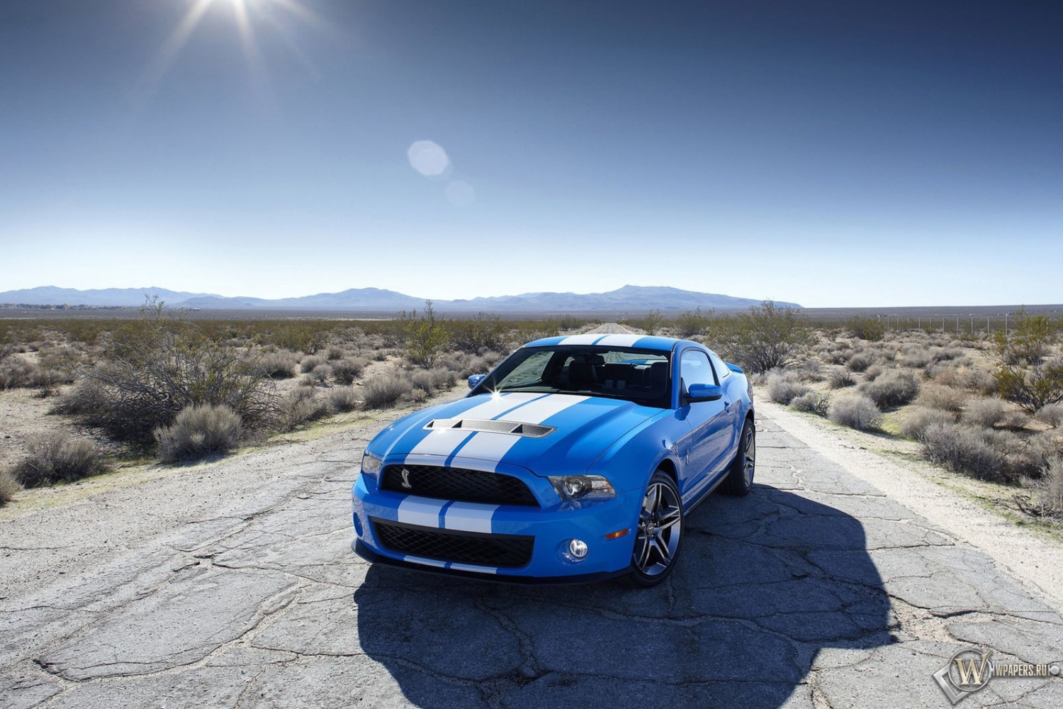 2010 Ford Shelby GT500 1500x1000