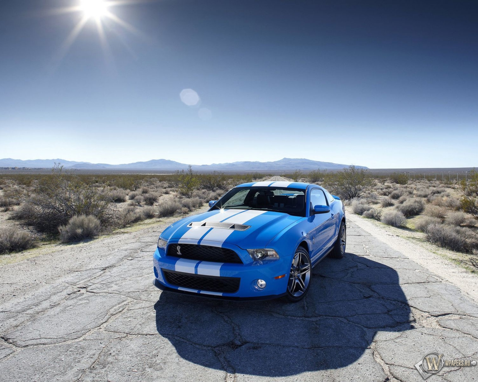 2010 Ford Shelby GT500 1600x1280