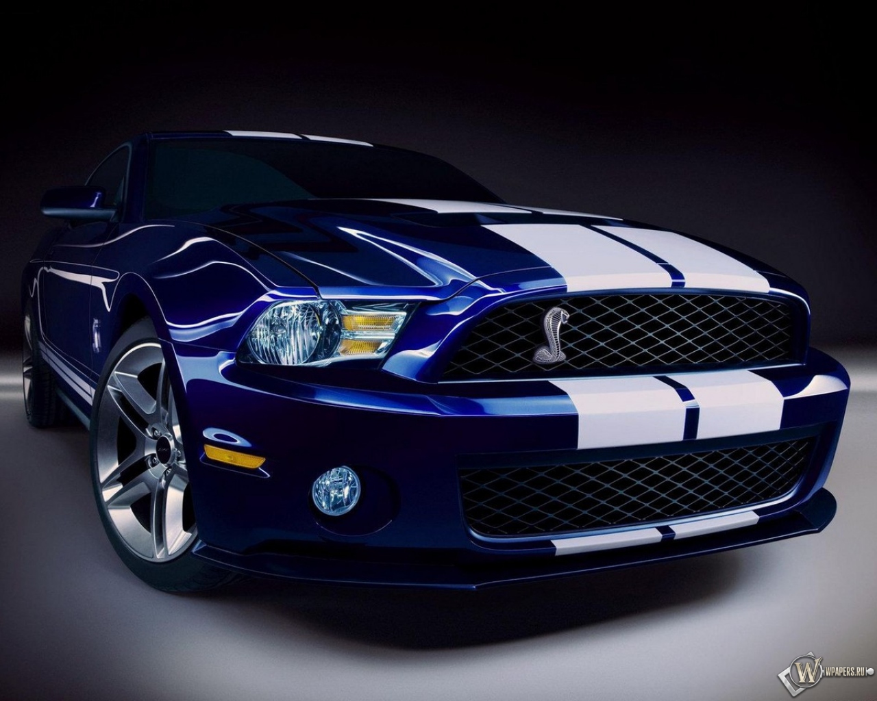 Ford Mustang Shelby 1280x1024