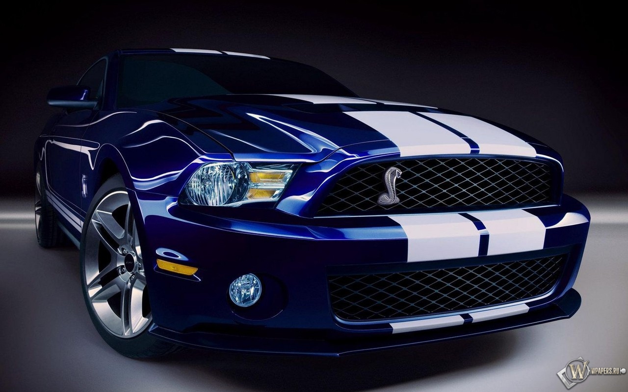 Ford Mustang Shelby 1280x800