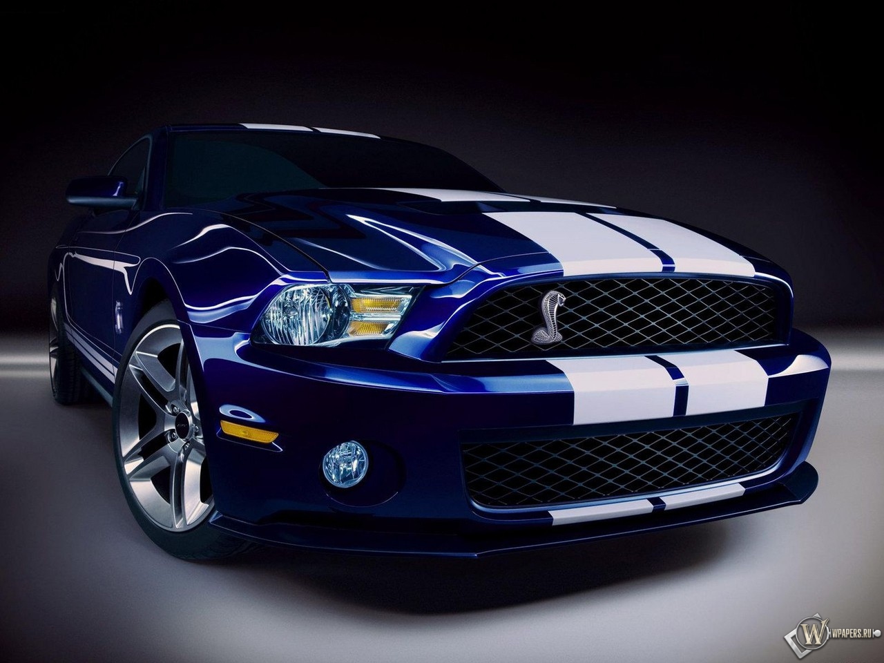 Ford Mustang Shelby 1280x960