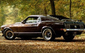 Обои Mustang Boss: Авто, Осень, Ford Mustang, Ford