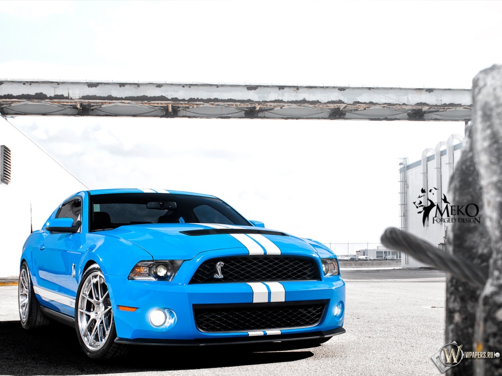 Shelby 1024x768