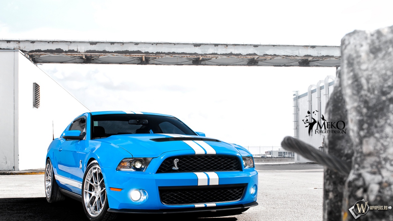 Shelby 1280x720