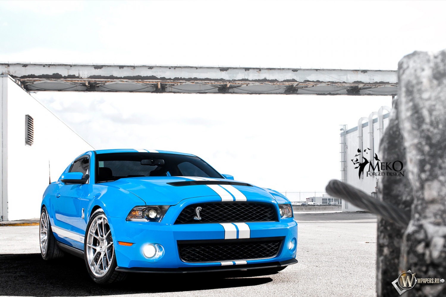 Shelby 1500x1000