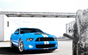 Обои Shelby: Ford Mustang Shelby, Ford