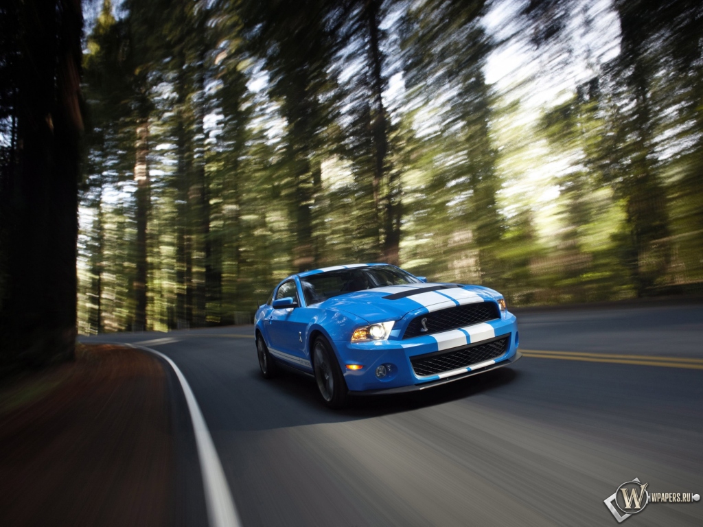 Ford Shelby Mustang GT 500 blue 1024x768