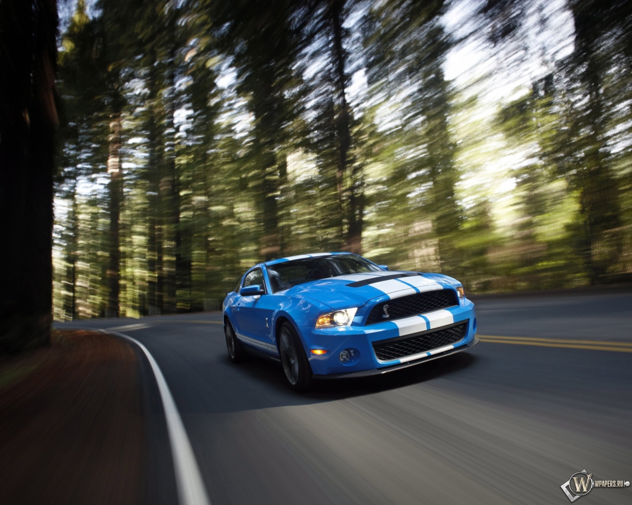 Ford Shelby Mustang GT 500 blue 1280x1024