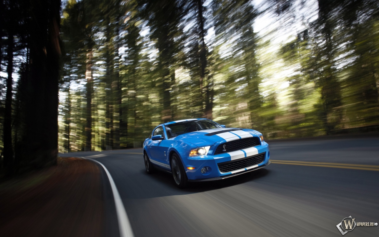 Ford Shelby Mustang GT 500 blue 1280x800