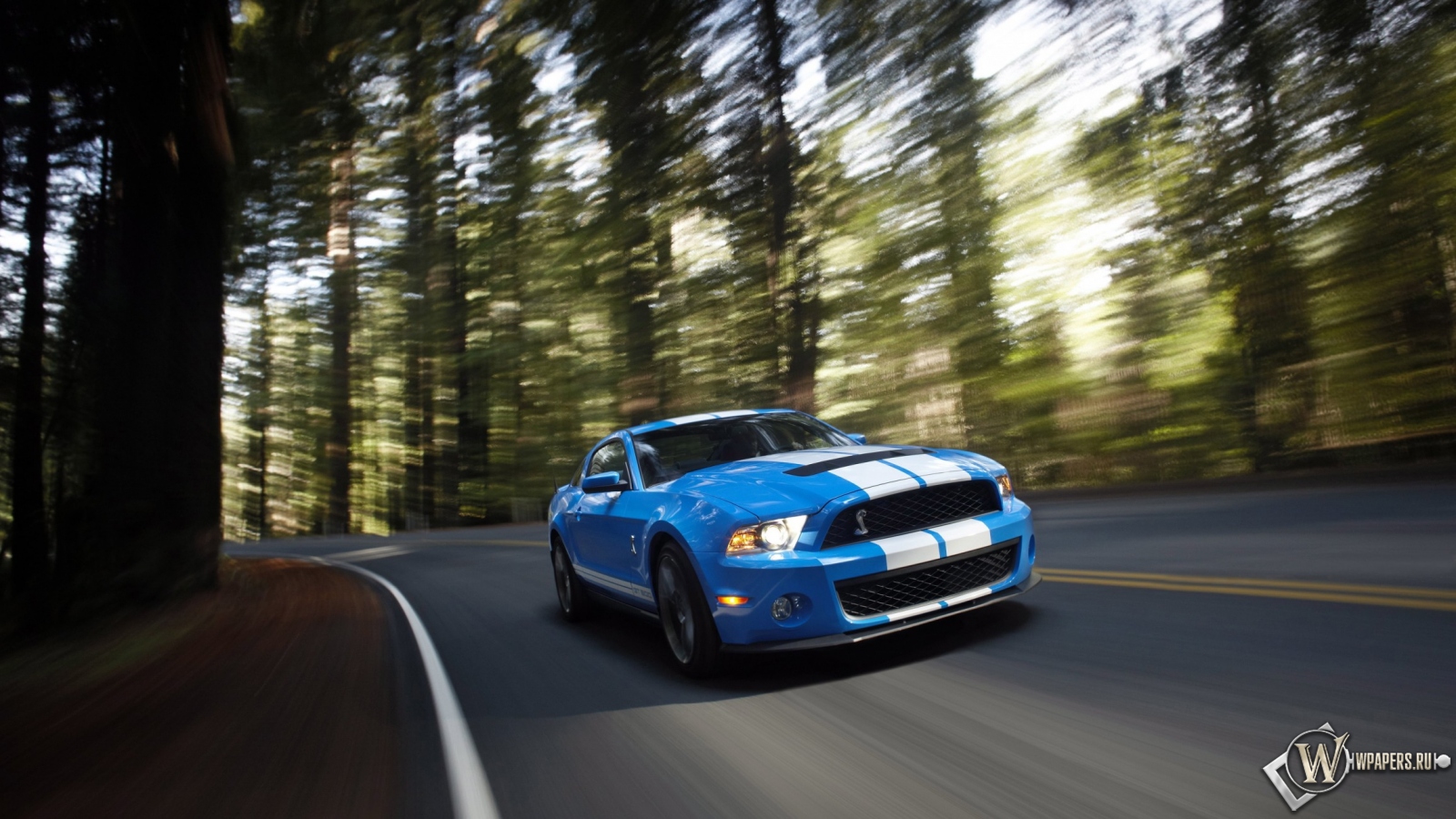 Ford Shelby Mustang GT 500 blue 1600x900