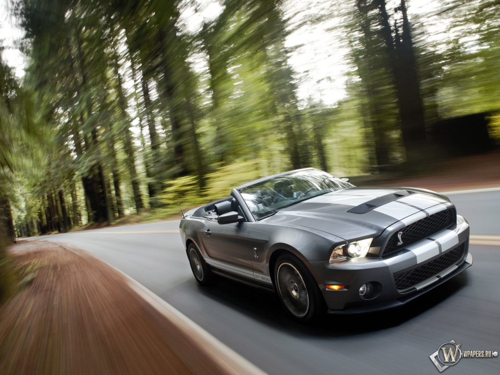 Ford Shelby Mustang GT 500 1024x768