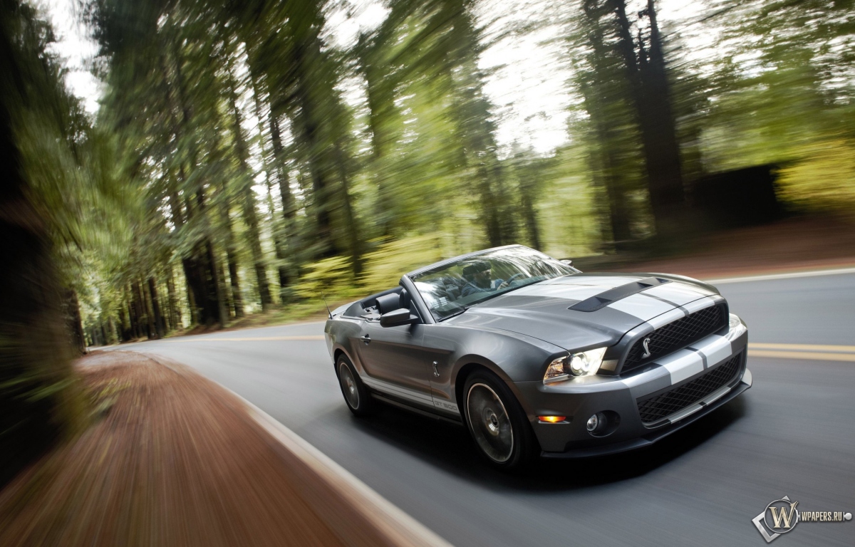 Ford Shelby Mustang GT 500 1200x768