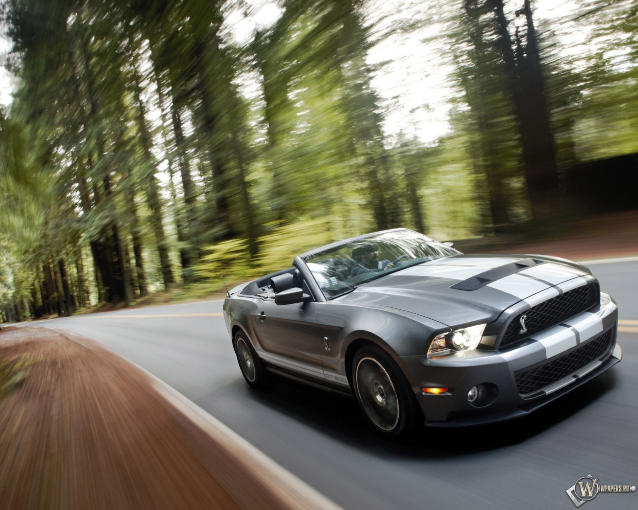 Ford Shelby Mustang GT 500 1280x1024