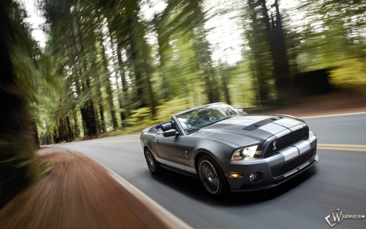 Ford Shelby Mustang GT 500 1280x800