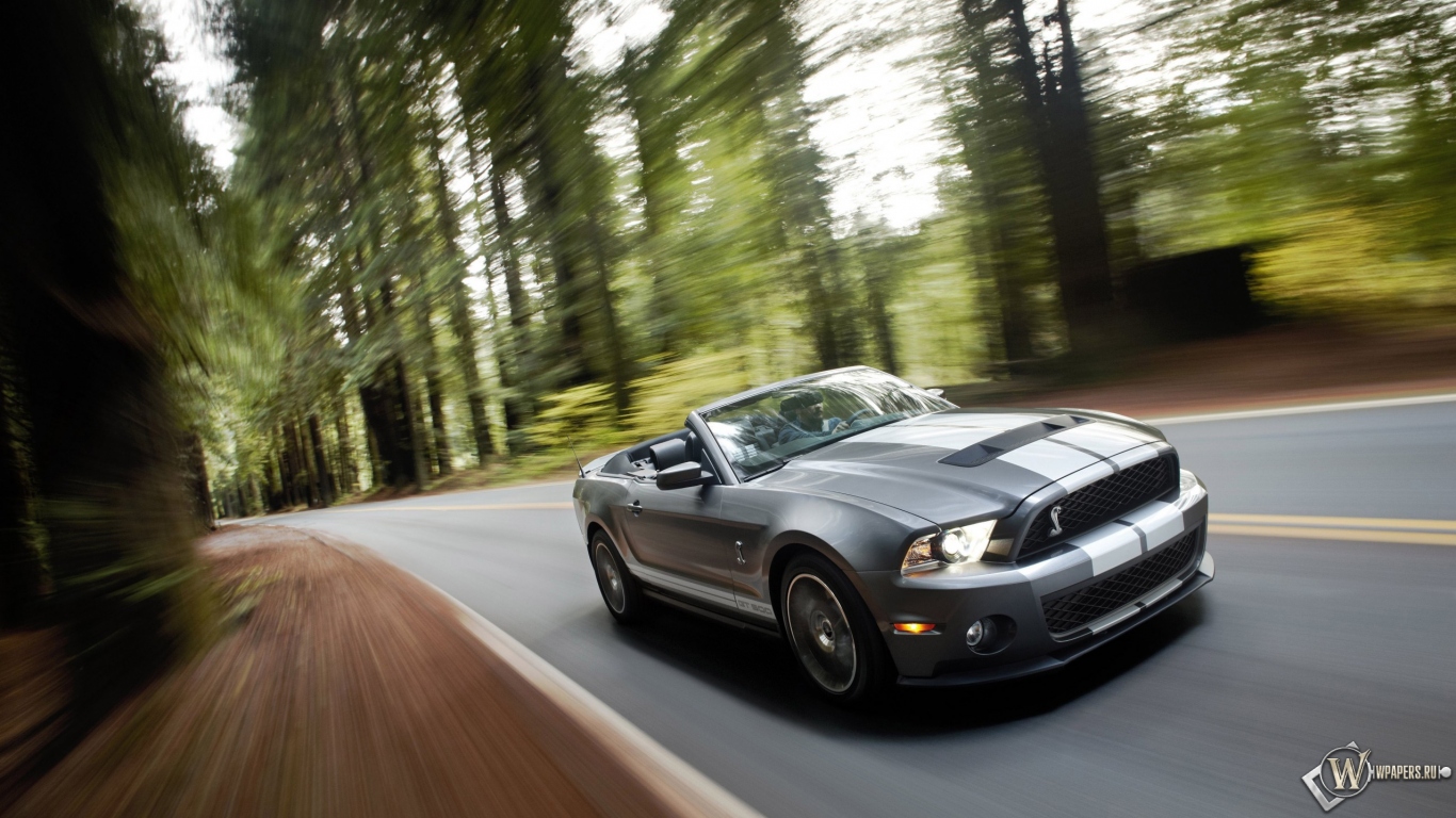 Ford Shelby Mustang GT 500 1366x768