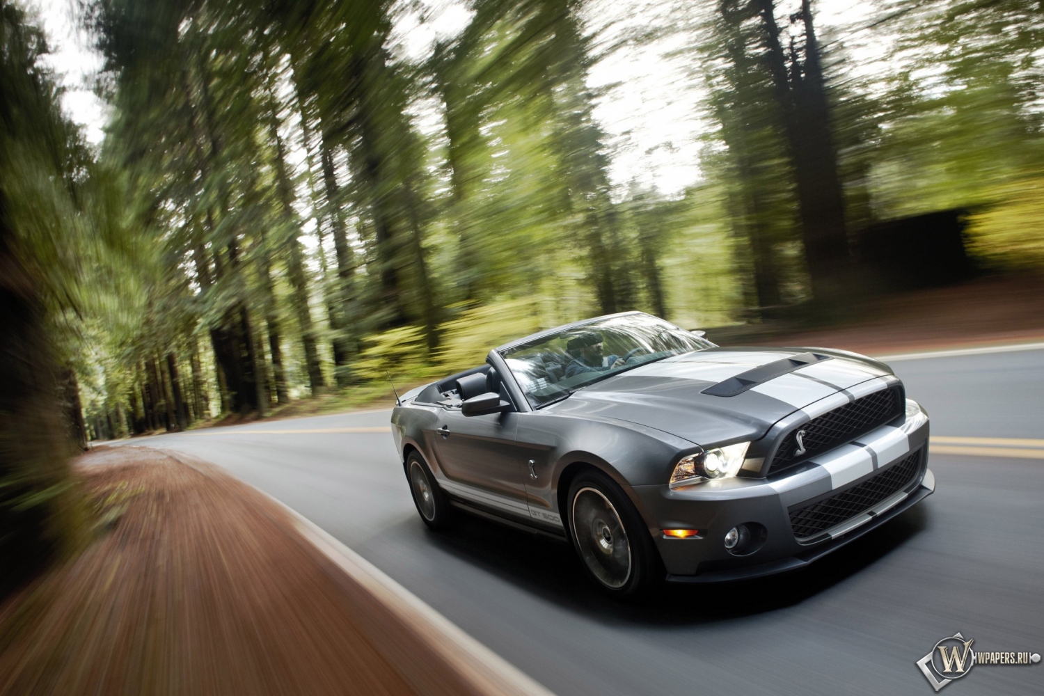 Ford Shelby Mustang GT 500 1500x1000