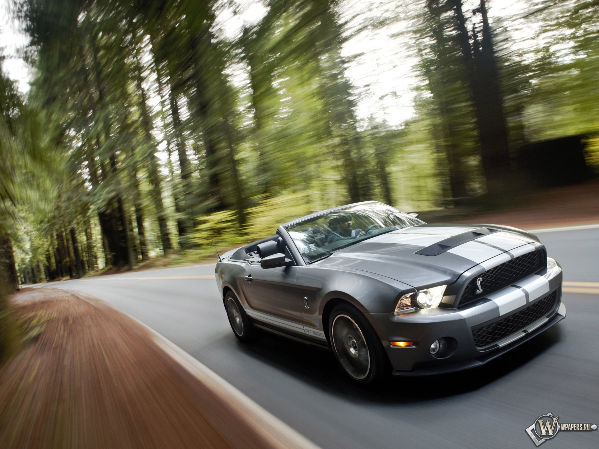 Ford Shelby Mustang GT 500 2048x1536