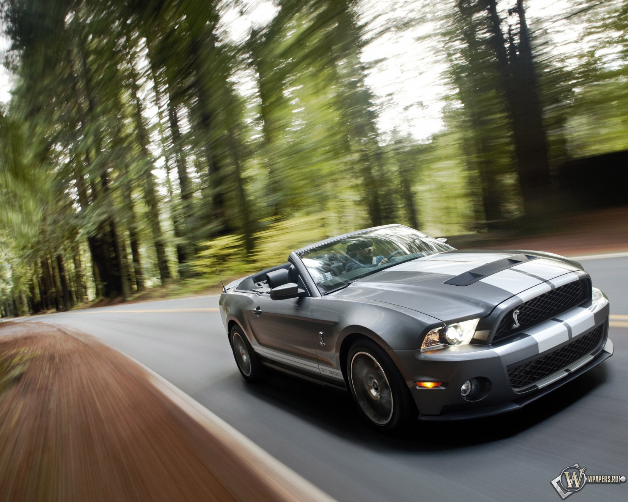Ford Shelby Mustang GT 500 2048x1638