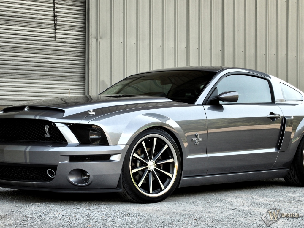 Ford Mustang Shelby GT500 1024x768
