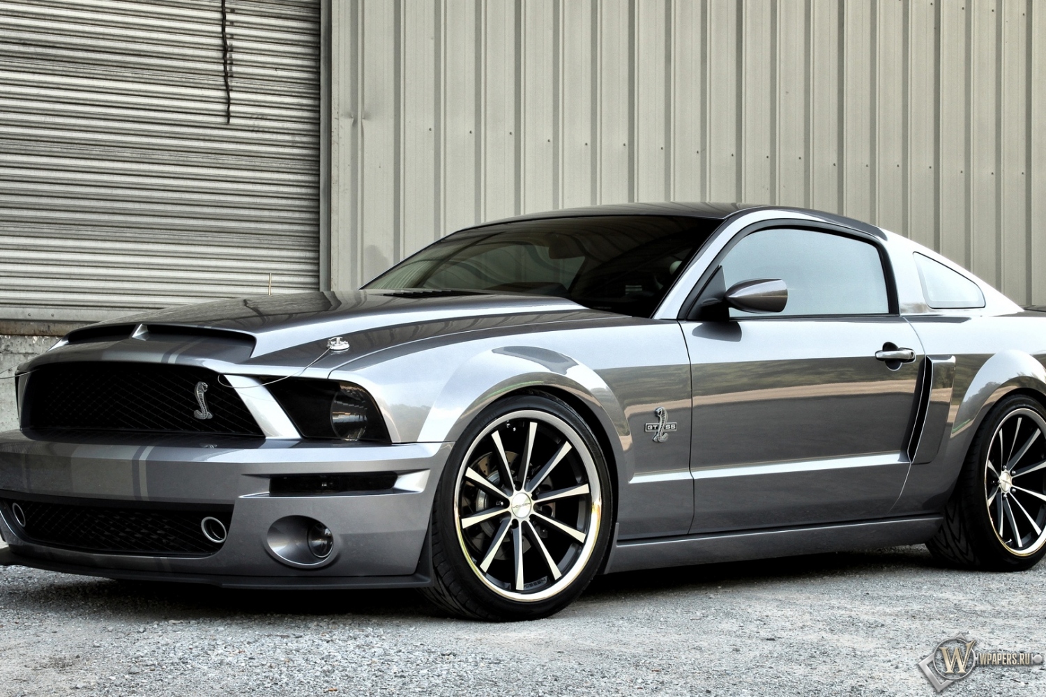 Ford mustang shelby gt 1000 #2