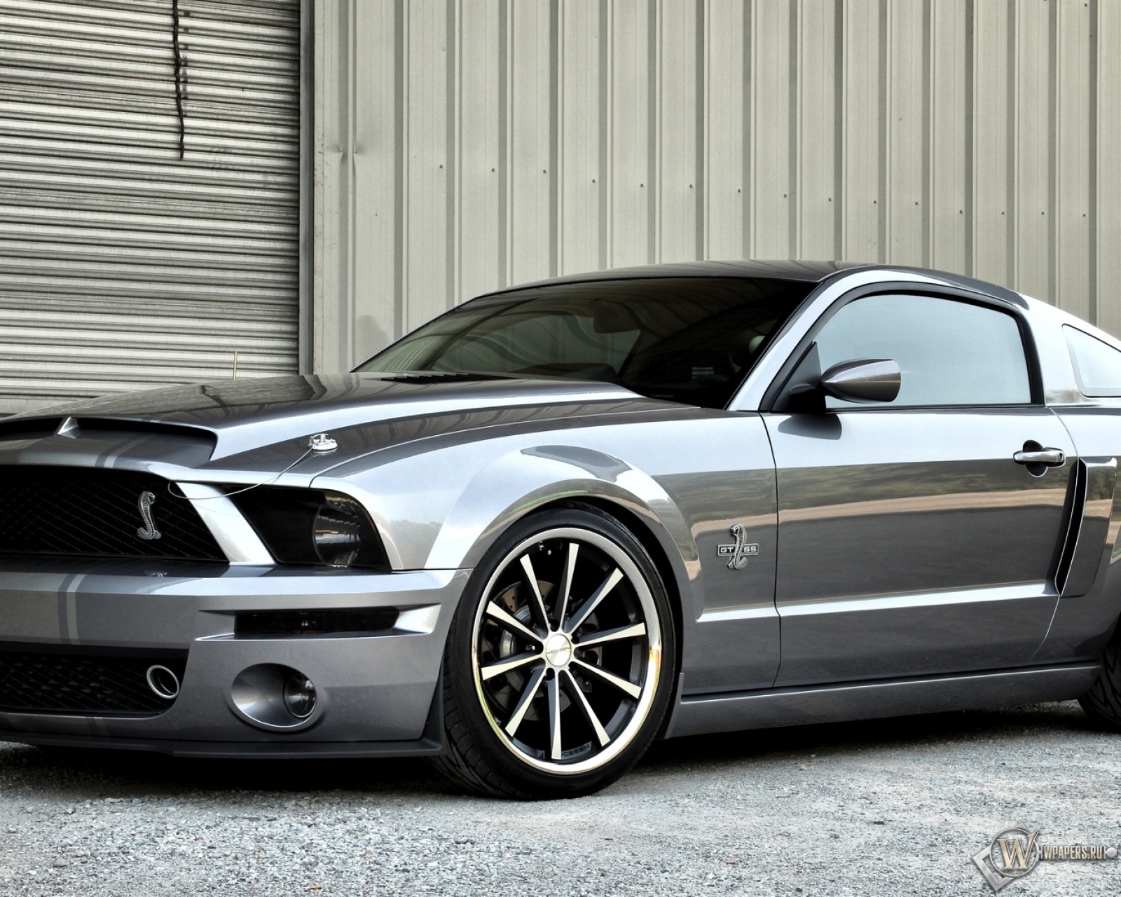 Ford Mustang Shelby GT500 1600x1280